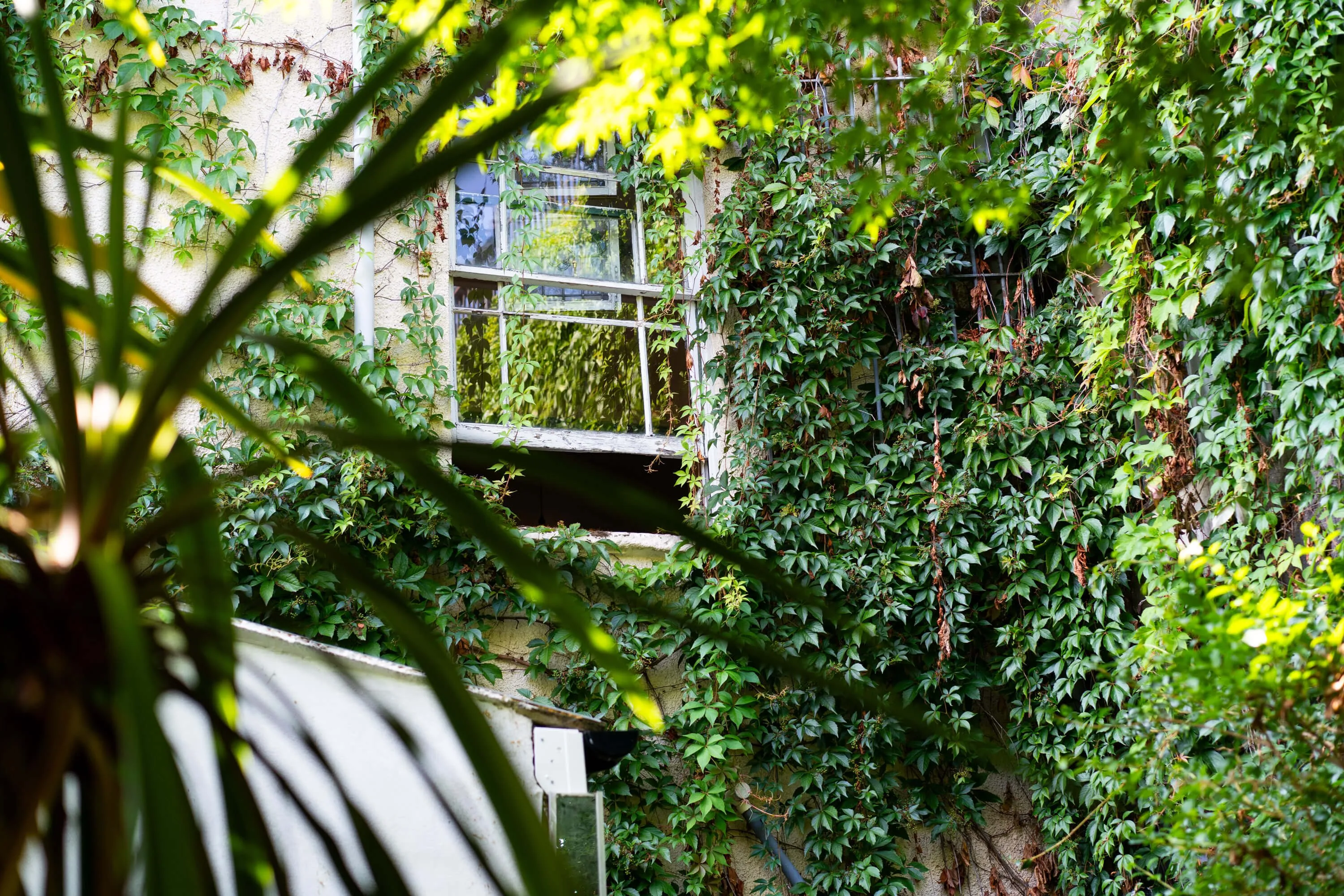 Bangshanky aug24 233